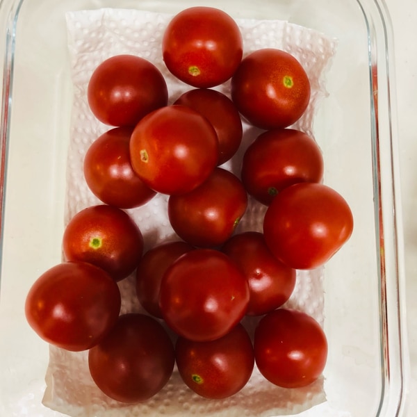 プチトマトの冷蔵保存方法 レシピ 作り方 By Yana 楽天レシピ プチトマトの冷蔵保存方法 レシピ 作り方 By Yana 楽天レシピ