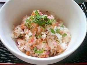 しゃけごはん 9fba42125dc707db7f938e6d62cbbe