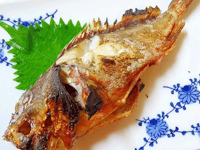 ちょっと高級感♪　「カサゴの塩焼き」