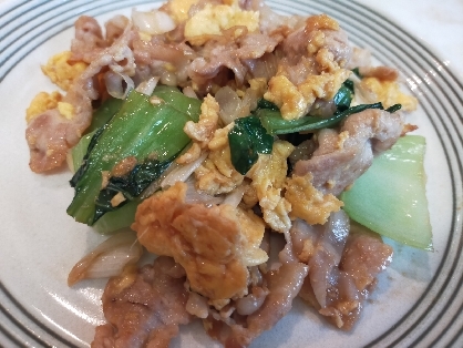 超特急メイン♡簡単♡豚肉と青梗菜と卵の中華風炒め