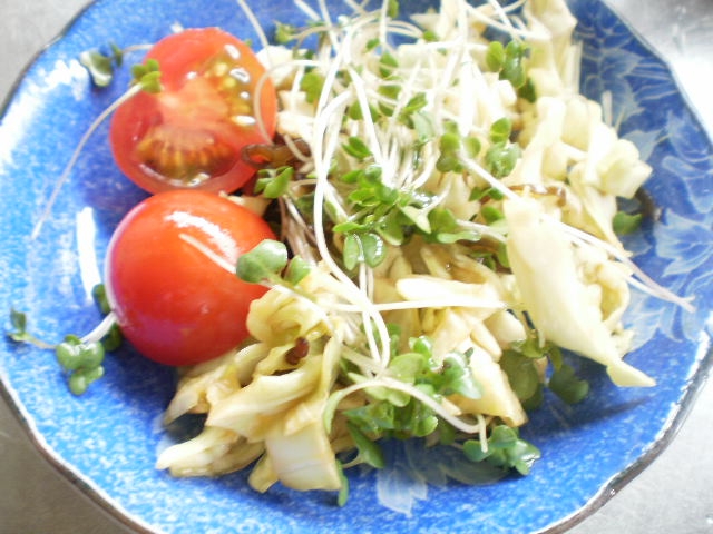 朝の生野菜の簡単ヘルシーサラダ