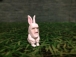 ぽるくん