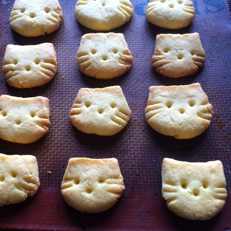 ねこクッキー レシピ 作り方 By Asa 楽天レシピ ねこクッキー レシピ 作り方 By Asa 楽天レシピ