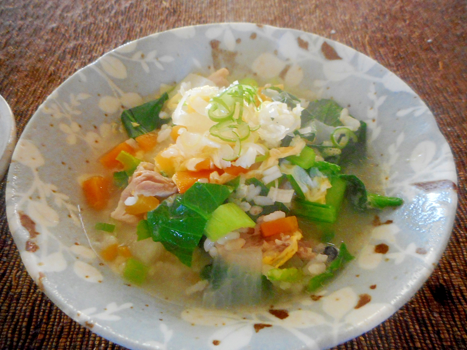 鶏肉と野菜の雑炊