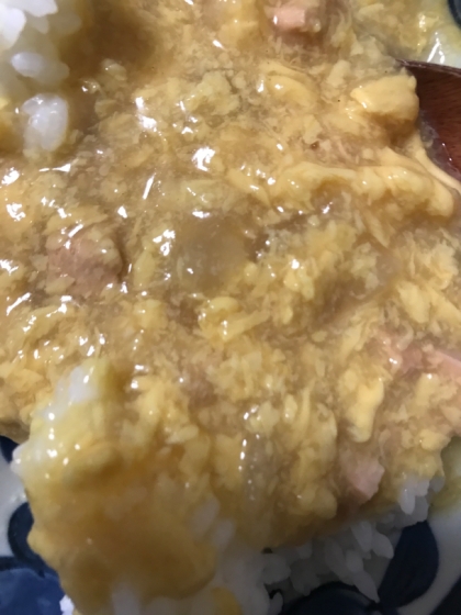 子供が喜ぶ(^^)カンタン豚ひき肉と玉ねぎの卵丼♪