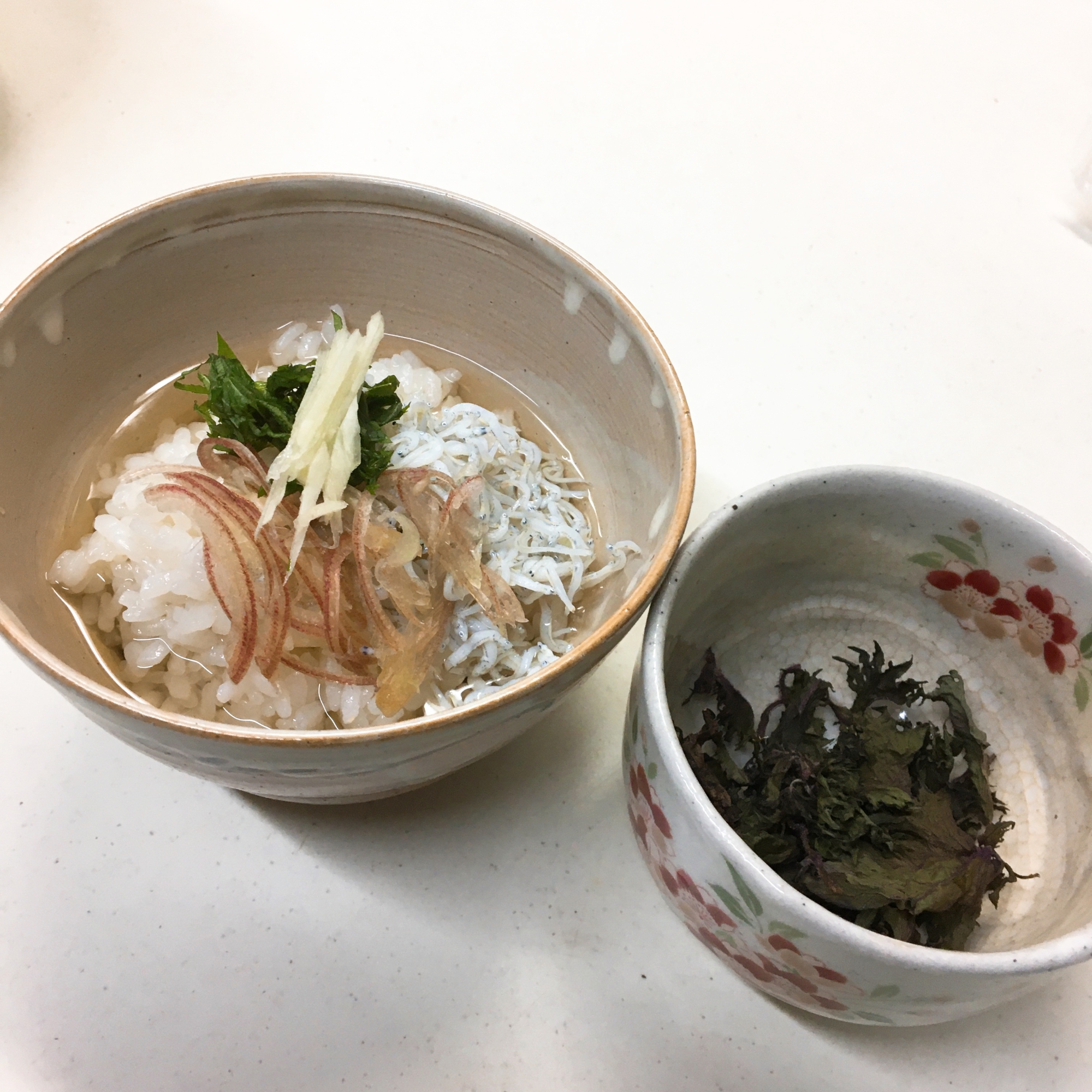 白い器に盛られた薬味まみれのお茶漬け