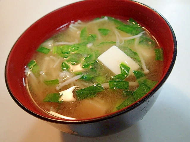 えのき茸と小松菜と豆腐のお味噌汁