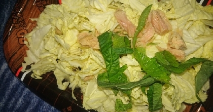 白菜のツナマヨポン酢サラダ