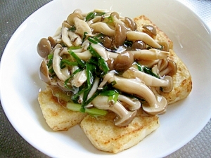 簡単♪ダイエット!豆腐ステーキのきのこあんかけ♪