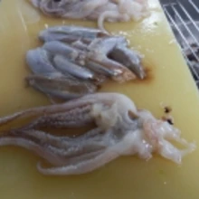 こっくり美味しい イカと大根のふ煮 わた煮 レシピ 作り方 By 夏はぜ 楽天レシピ こっくり美味しい イカと大根のふ煮 わた煮 レシピ 作り方 By 夏はぜ 楽天レシピ