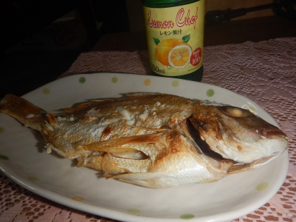 アマダイの下拵え 絶品 塩焼き レシピ 作り方 By Startrek 楽天レシピ アマダイの下拵え 絶品 塩焼き レシピ 作り方 By Startrek 楽天レシピ