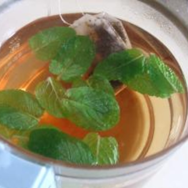 レモンバームtea レシピ 作り方 By Gariko1346 楽天レシピ レモンバームtea レシピ 作り方 By Gariko1346 楽天レシピ