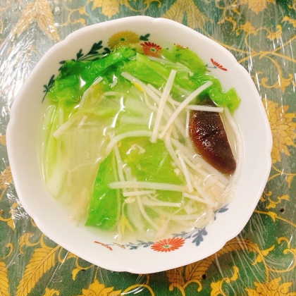 きのこたっぷり水炊き鍋〜今日のお鍋〜