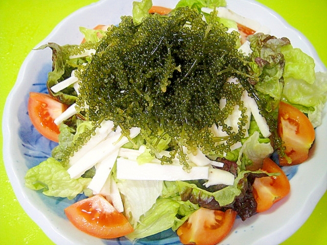 白と青のお皿に盛り付けられた海ぶどうと長芋のサラダ