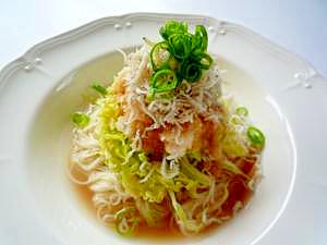 簡単 春キャベツとしらすと大根おろしのサラダ素麺 レシピ 作り方 By ぽんぽんぷー 楽天レシピ 簡単 春キャベツとしらすと大根おろしのサラダ素麺 レシピ 作り方 By ぽんぽんぷー 楽天レシピ