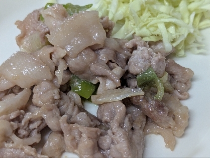 長ねぎ＆もやしde ᕷ* 豚肉のしょうが焼きꕤ୭*