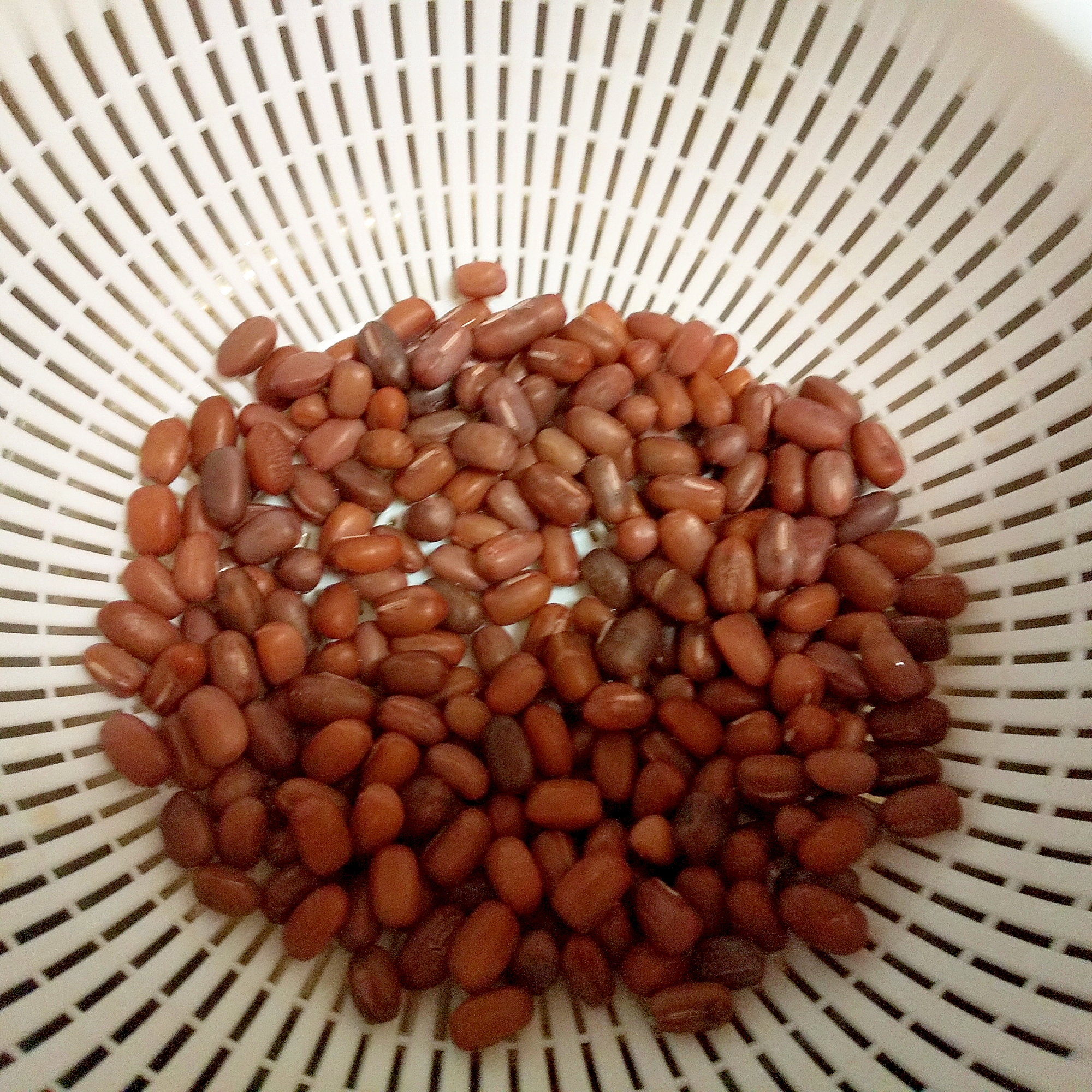 小豆の煮方
