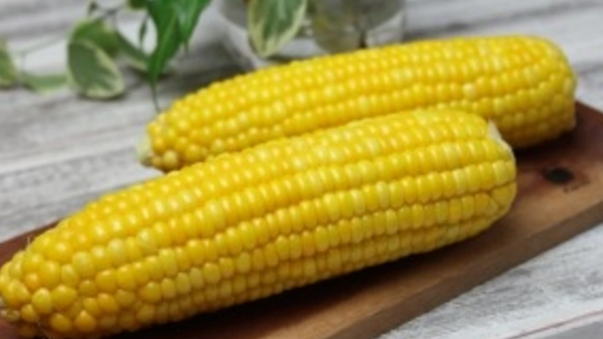 今が旬 たった大さじ3の水で茹で上げるとうもろこし レシピ 作り方 By Rieのクックcookクック 楽天レシピ 今が旬 たった大さじ3の水で茹で上げるとうもろこし レシピ 作り方 By Rieのクックcookクック 楽天レシピ