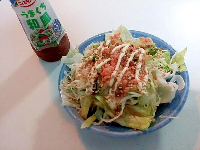 レタス・キャベツ・胡瓜・鮭フレークの和風サラダ