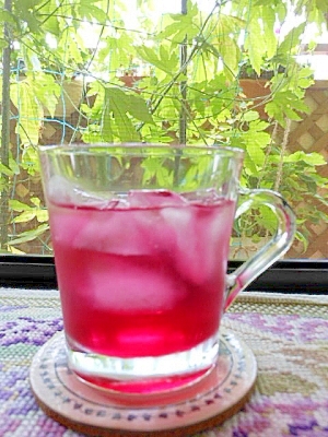 クエン酸入りの赤紫蘇ジュースで夏バテ予防しましょ♪