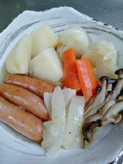 ゴロっと野菜のポトフ