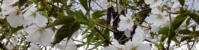 お料理は楽しく元気の素♪