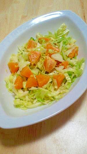 タンカンレシピ 作り方の人気順 簡単料理の楽天レシピ タンカンレシピ 作り方の人気順 簡単料理の楽天レシピ