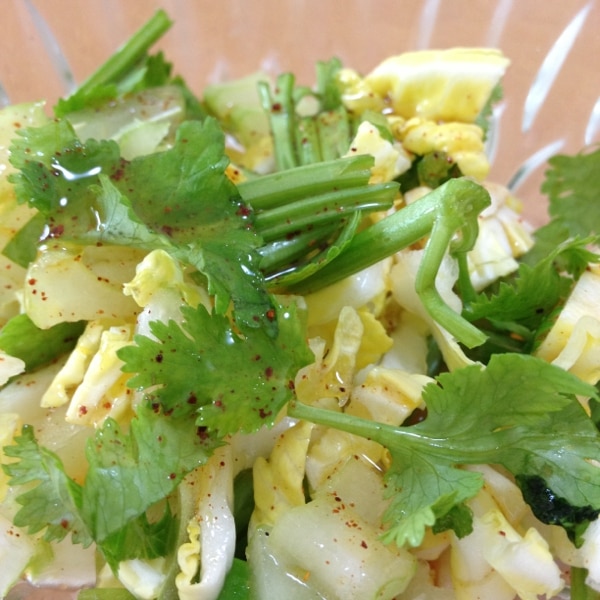 セロリとパクチーのアジアン風サラダ レシピ 作り方 By くまやこ 楽天レシピ セロリとパクチーのアジアン風サラダ レシピ 作り方 By くまやこ 楽天レシピ