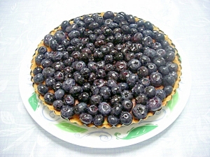 8. 華やかフレッシュブルーベリーのタルト