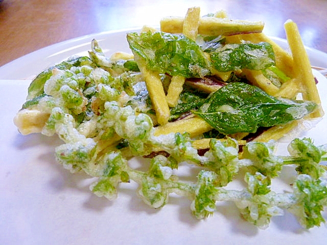 バジルの葉とさつま芋のかき揚げと花穂の天ぷら レシピ 作り方 By 身の茸335 楽天レシピ バジルの葉とさつま芋のかき揚げと花穂の天ぷら レシピ 作り方 By 身の茸335 楽天レシピ