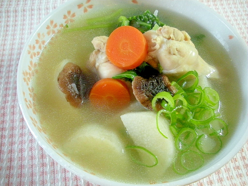 鶏手羽元の根菜スープ