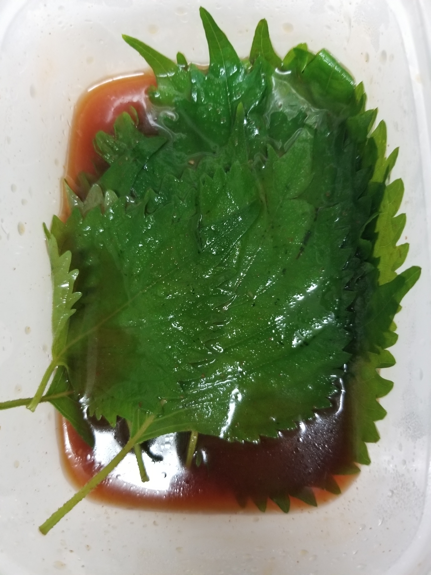 大葉の醤油漬け