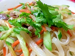 パクチーをのせた牛肉、きゅうり、にんじんなどのパッタイ