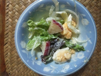 お弁当に☆茹で卵と玉葱（紫）とりんごのサラダ