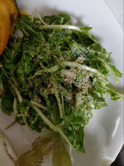 モリモリ食べれる♫水菜とシーチキンのサラダ