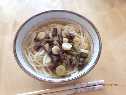 山菜の水煮で 簡単山菜うどん