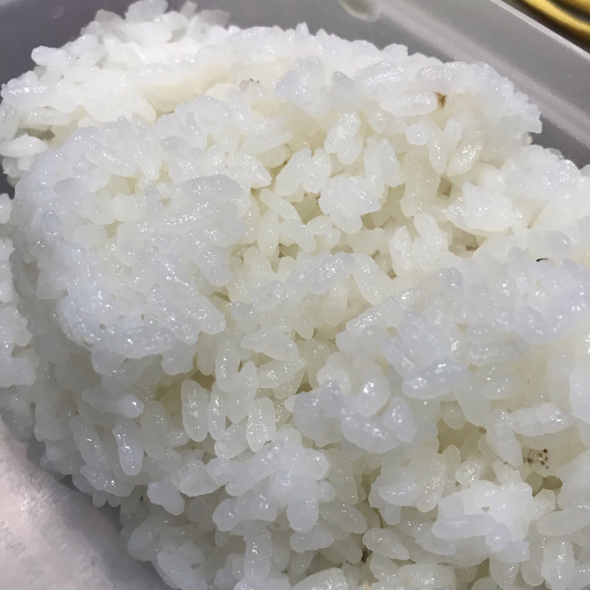 お弁当にも！冷めても美味しいご飯の炊き方