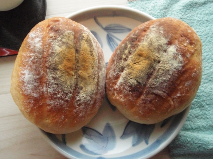 ウィンナーが無かったのでただのパンになってしまいました。分量道理に丸めたらこんなに大きなのが２つもできました。次はウィンナー入りに挑戦します。