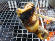 サザエの焼き方 楽天レシピ サザエの焼き方 楽天レシピ