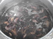 豆屋おすすめ 高原花豆の煮豆 高原紫花豆 レシピ 作り方 By 築地 豆雑穀問屋 三栄商会 楽天レシピ 豆屋おすすめ 高原花豆の煮豆 高原紫花豆 レシピ 作り方 By 築地 豆雑穀問屋 三栄商会 楽天レシピ