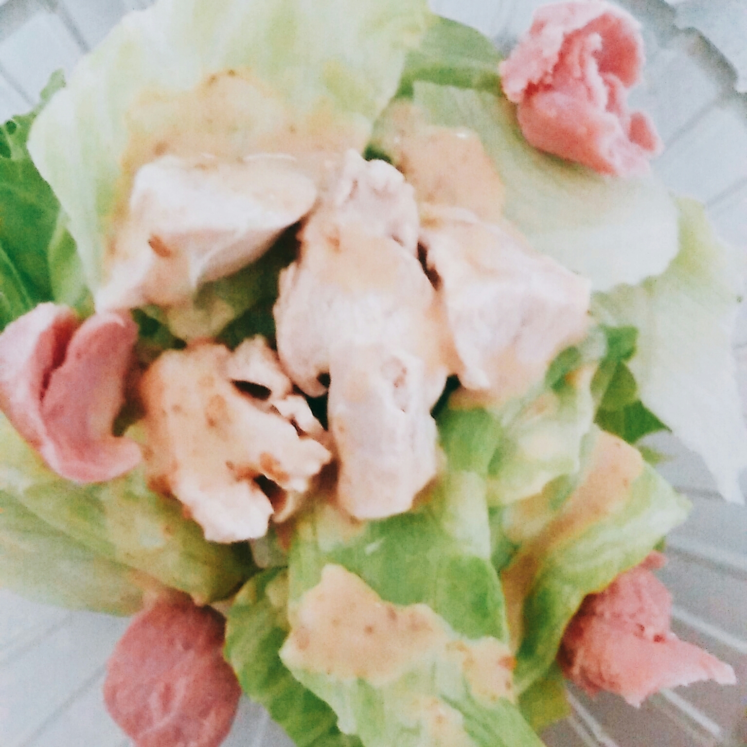 鶏&魚肉サラダ