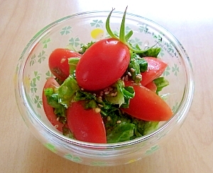 リーフレタスとトマトのサラダ