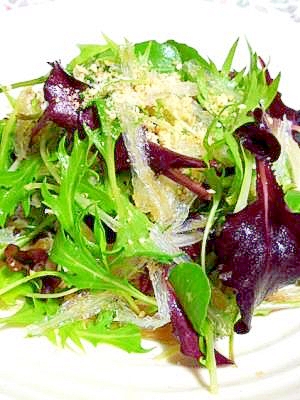 大根おろしドレッシングで 《糸寒天のサラダ》