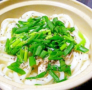 鶏の出汁が美味しい「鶏塩うどん」