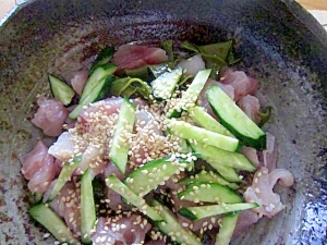 鮪と雌株胡瓜の胡麻醤油