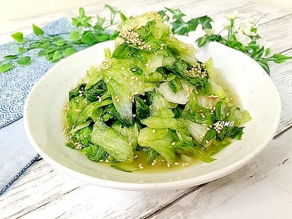 レタスと生姜の浅漬け