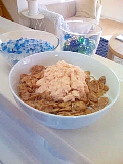 高野豆腐・イチゴミルクdeトッピング