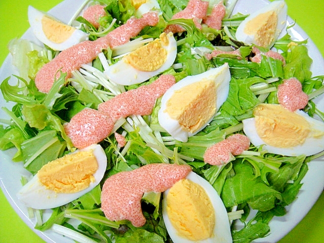 明太子ソースで♡水菜とゆで卵のサラダ
