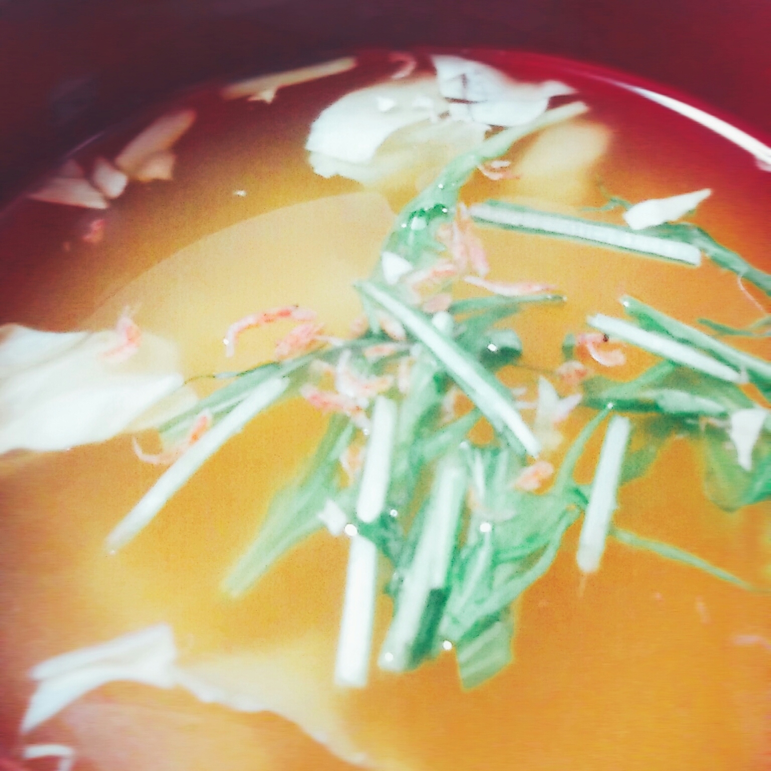 キャベツあみえび水菜の味噌汁