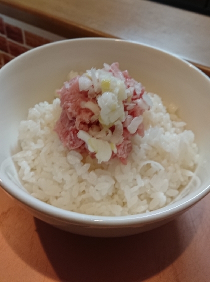 長ねぎで　☆　ネギトロ丼